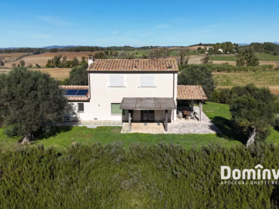 Immagine 3 di Villa in vendita  in Strada della Sgrilla a Capalbio