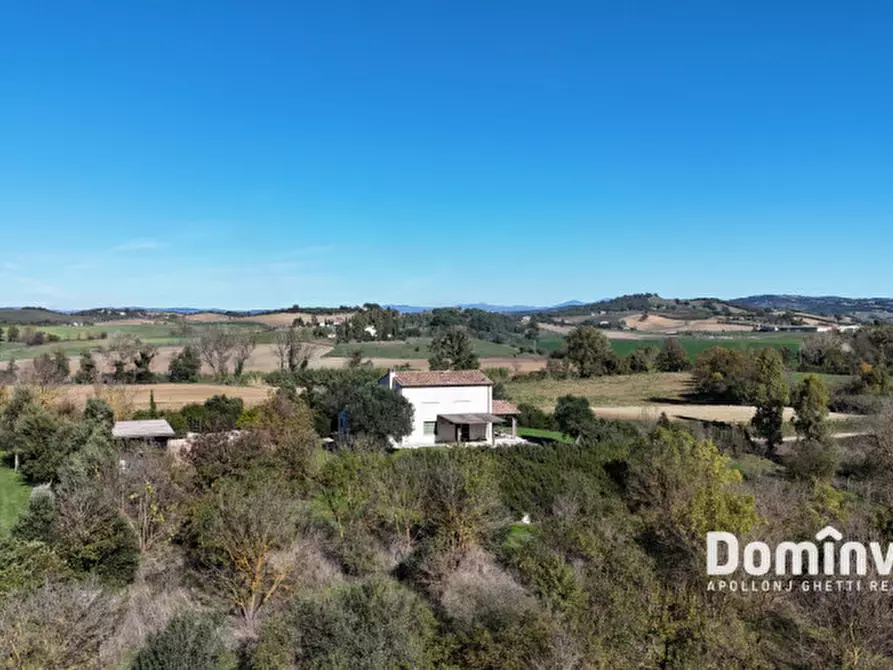 Immagine 5 di Villa in vendita  in Strada della Sgrilla a Capalbio