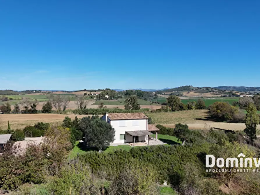 Immagine 6 di Villa in vendita  in Strada della Sgrilla a Capalbio