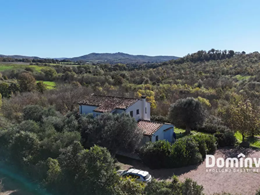 Immagine 7 di Villa in vendita  in Strada della Sgrilla a Capalbio