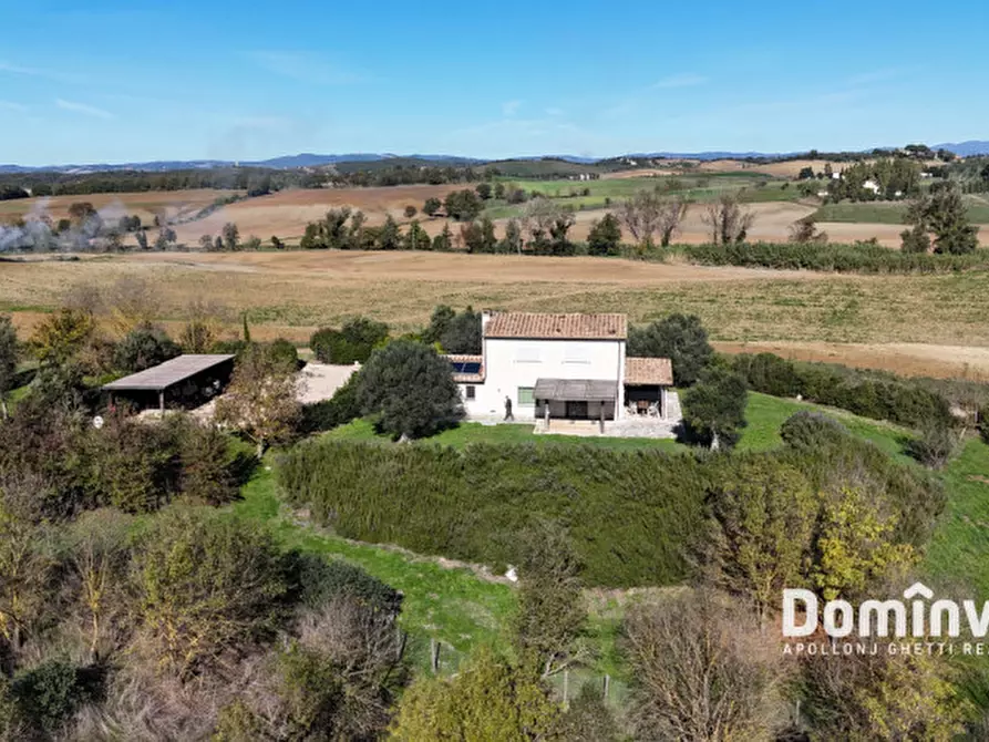 Immagine 8 di Villa in vendita  in Strada della Sgrilla a Capalbio