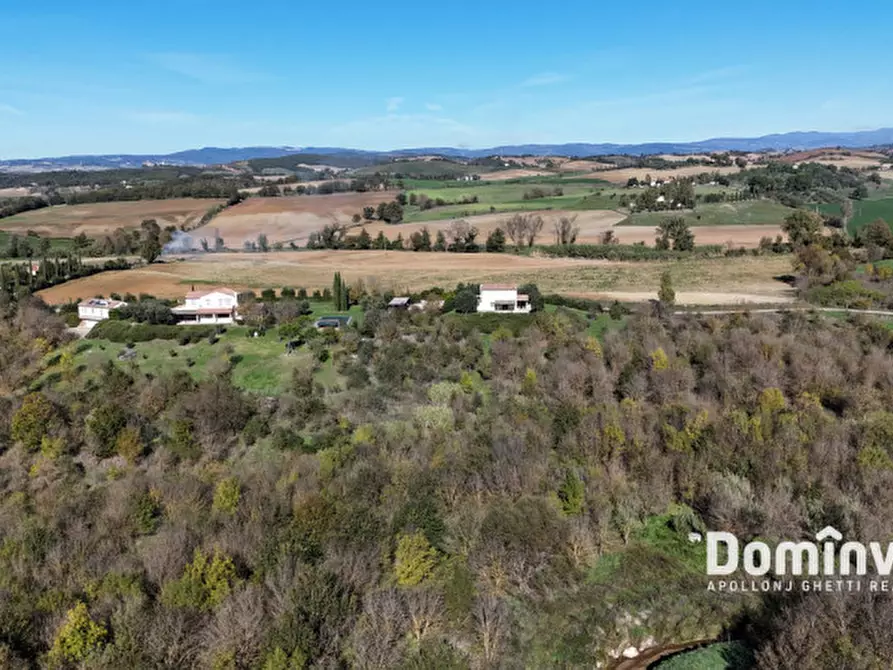 Immagine 9 di Villa in vendita  in Strada della Sgrilla a Capalbio