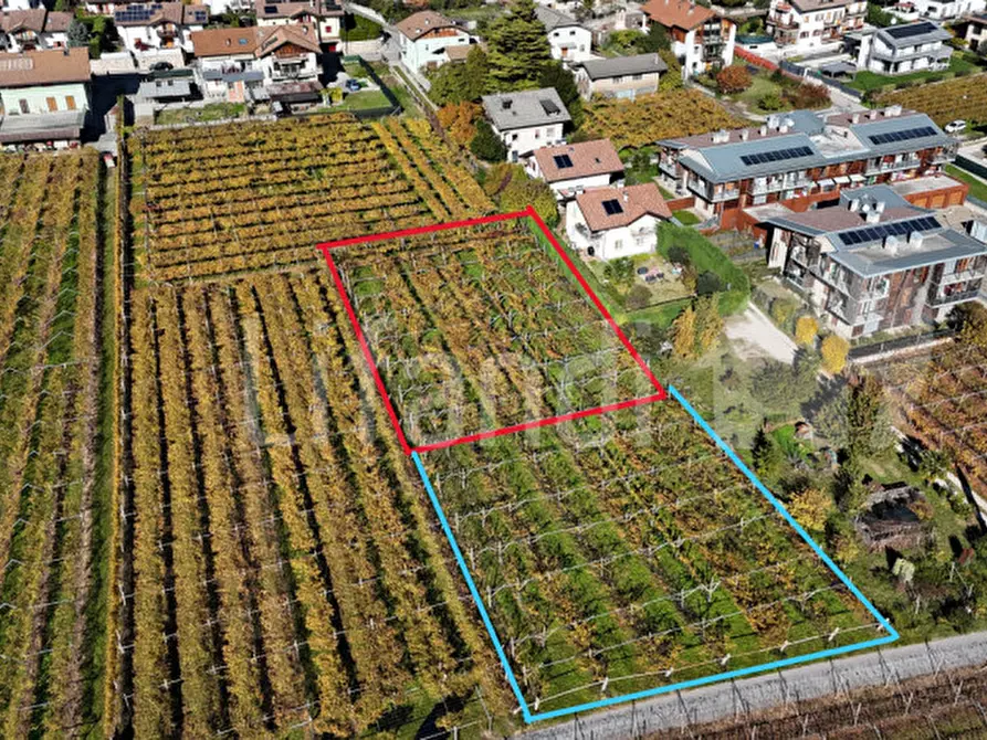 Immagine 2 di Terreno in vendita  in Via FR.lli Bronzetti a Roverè Della Luna