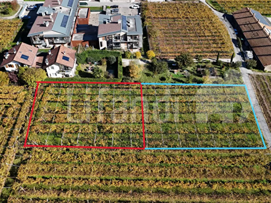 Immagine 3 di Terreno in vendita  in Via FR.lli Bronzetti a Roverè Della Luna