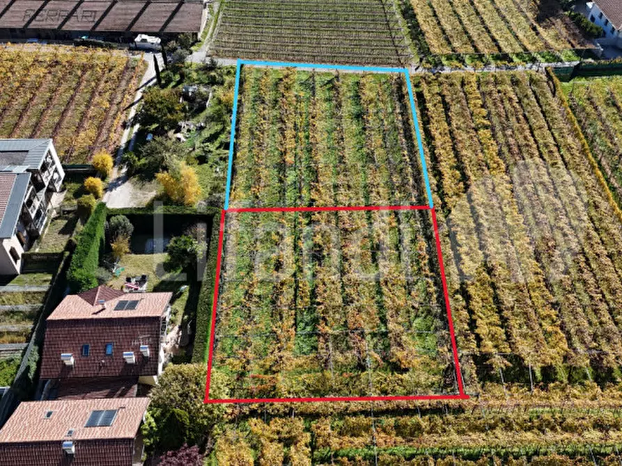 Immagine 4 di Terreno in vendita  in Via FR.lli Bronzetti a Roverè Della Luna