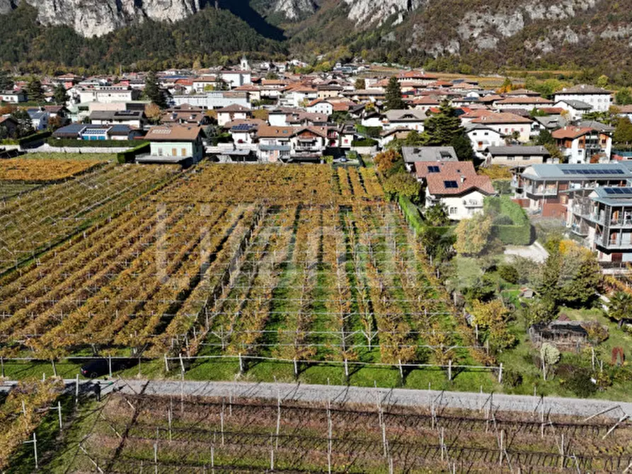 Immagine 6 di Terreno in vendita  in Via FR.lli Bronzetti a Roverè Della Luna