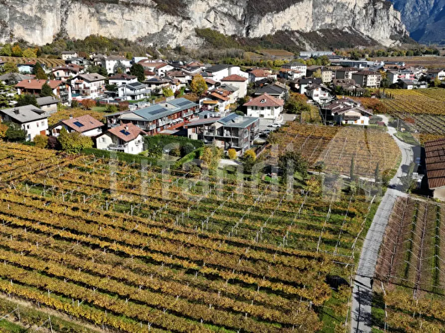 Immagine 8 di Terreno in vendita  in Via FR.lli Bronzetti a Roverè Della Luna