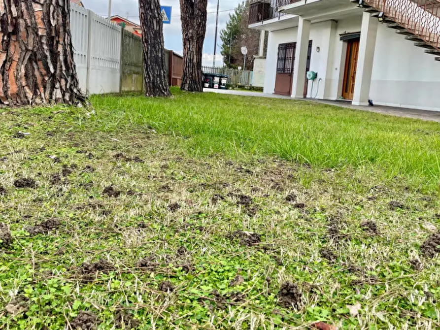 Immagine 19 di Casa bifamiliare in vendita  a Ponte San Nicolò