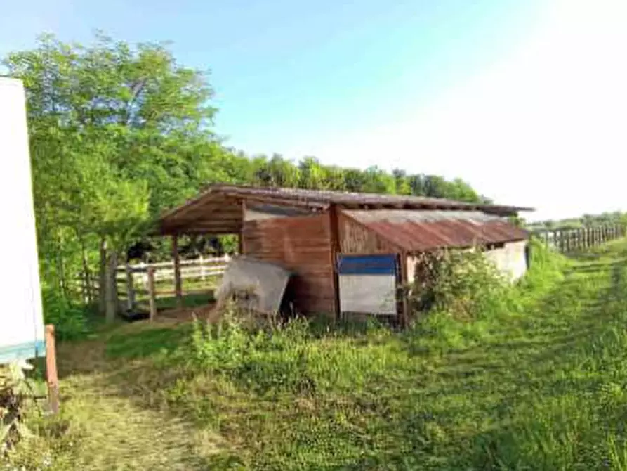 Immagine 1 di Magazzino in vendita  in Via Nazario Sauro a Fiume Veneto