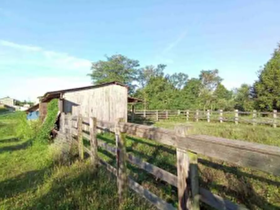 Immagine 2 di Magazzino in vendita  in Via Nazario Sauro a Fiume Veneto