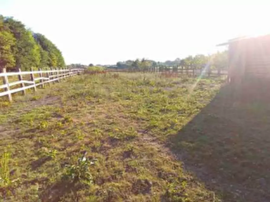 Immagine 3 di Magazzino in vendita  in Via Nazario Sauro a Fiume Veneto