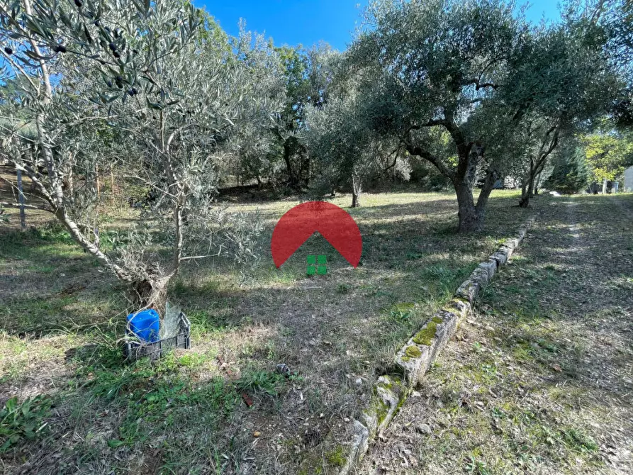 Immagine 2 di Appartamento in vendita  in CONTRADA TIMMARI a Matera
