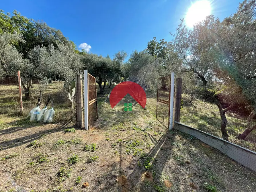 Immagine 4 di Appartamento in vendita  in CONTRADA TIMMARI a Matera