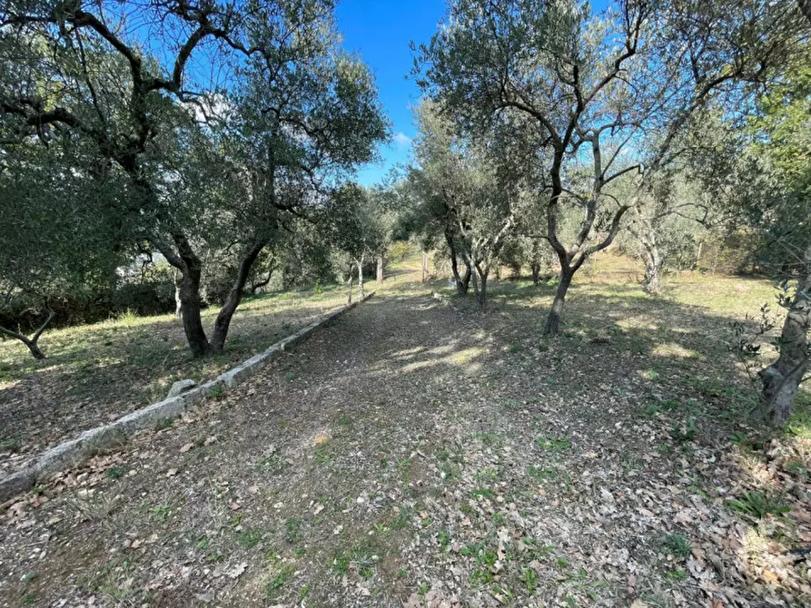 Immagine 5 di Appartamento in vendita  a Matera