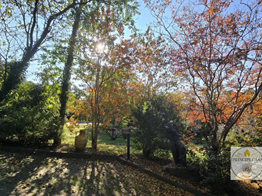 Immagine 32 di Casa indipendente in vendita  in via palazzina a Arqua' Petrarca