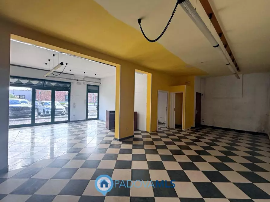 Immagine 11 di Negozio in vendita  in Via Noventana a Noventa Padovana