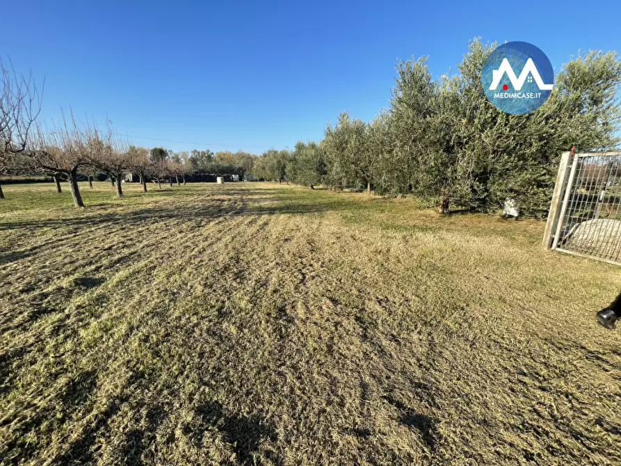 Immagine 2 di Terreno in vendita  in Strada Lago di Lesina a Pesaro
