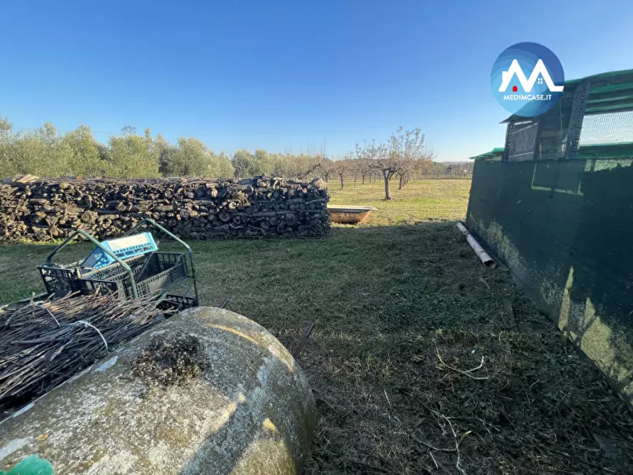 Immagine 6 di Terreno in vendita  in Strada Lago di Lesina a Pesaro