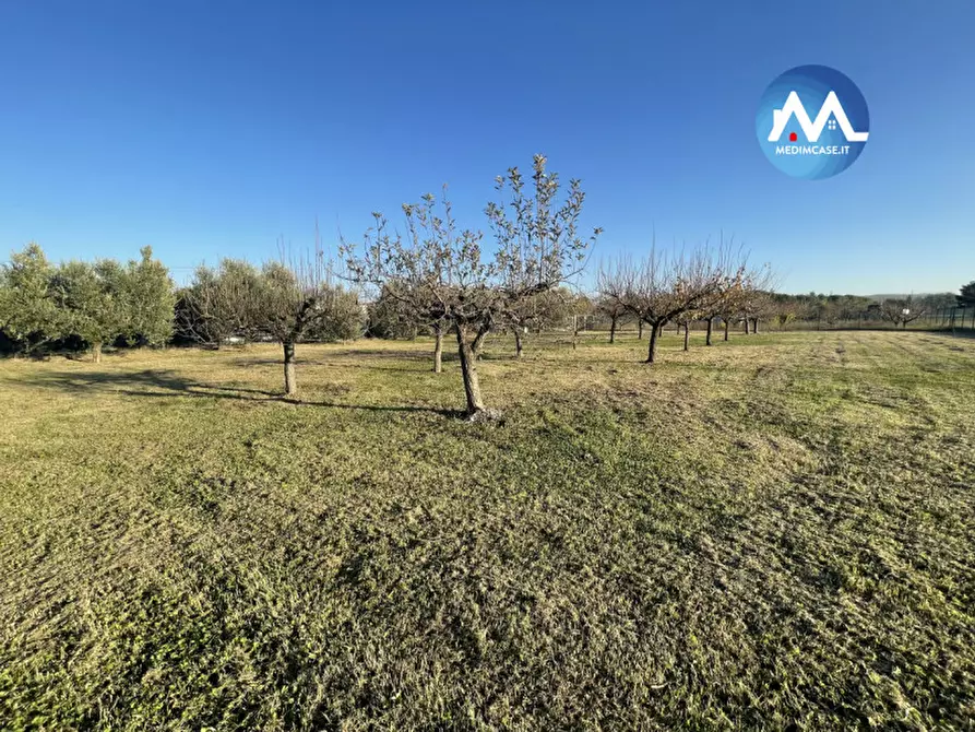 Immagine 7 di Terreno in vendita  in Strada Lago di Lesina a Pesaro