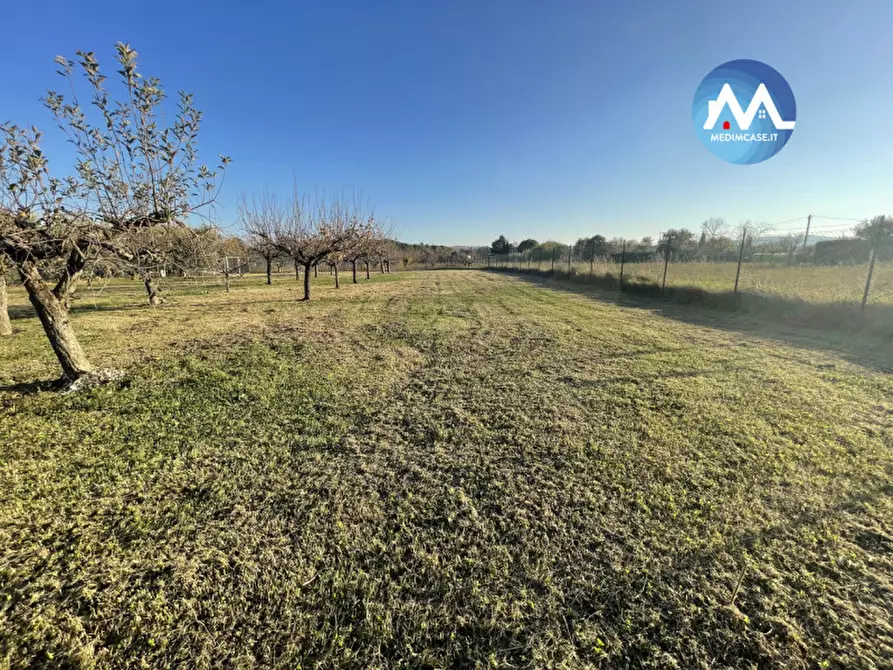 Immagine 8 di Terreno in vendita  in Strada Lago di Lesina a Pesaro
