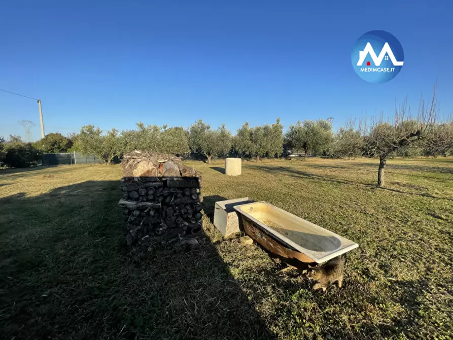 Immagine 9 di Terreno in vendita  in Strada Lago di Lesina a Pesaro
