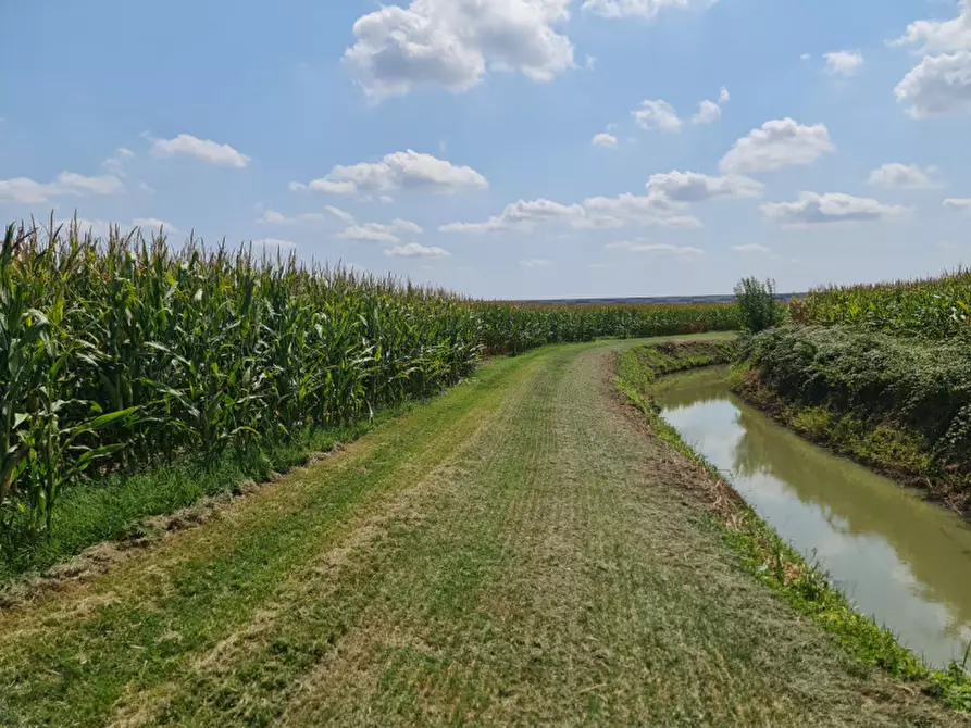 Immagine 1 di Terreno in vendita  a Lendinara