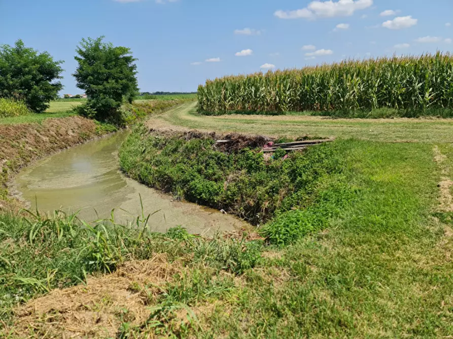 Immagine 3 di Terreno in vendita  a Lendinara