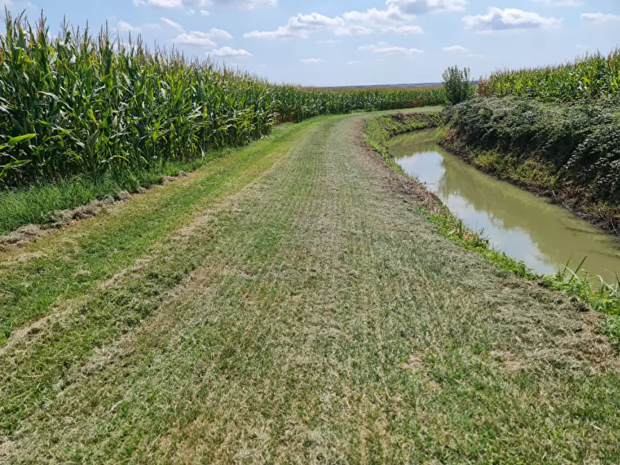 Immagine 4 di Terreno in vendita  a Lendinara