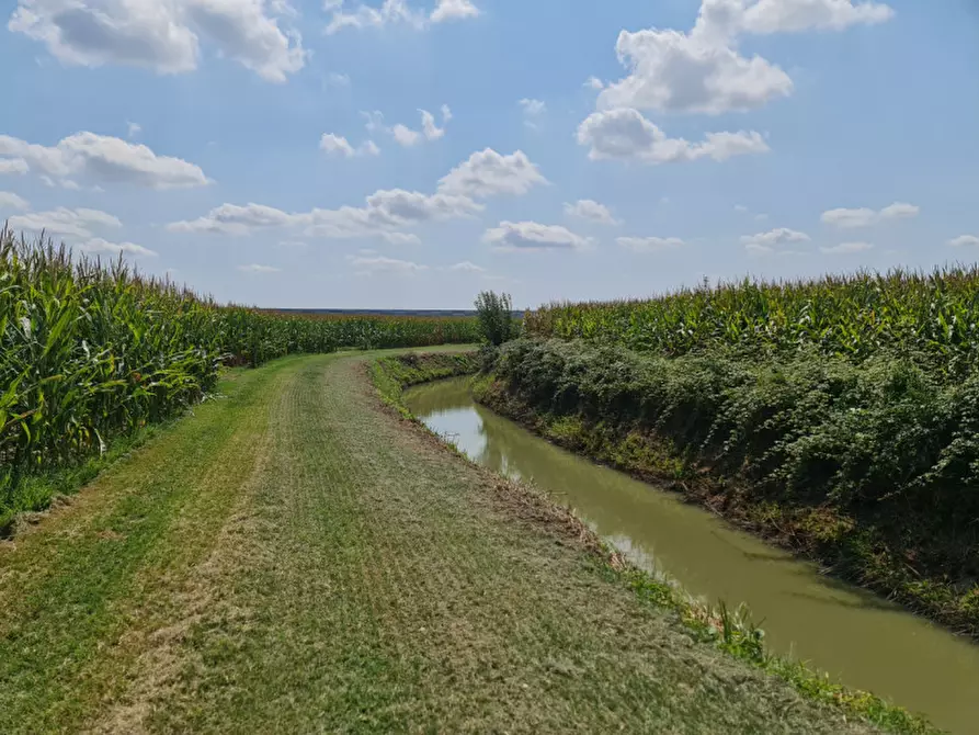 Immagine 9 di Terreno in vendita  a Lendinara
