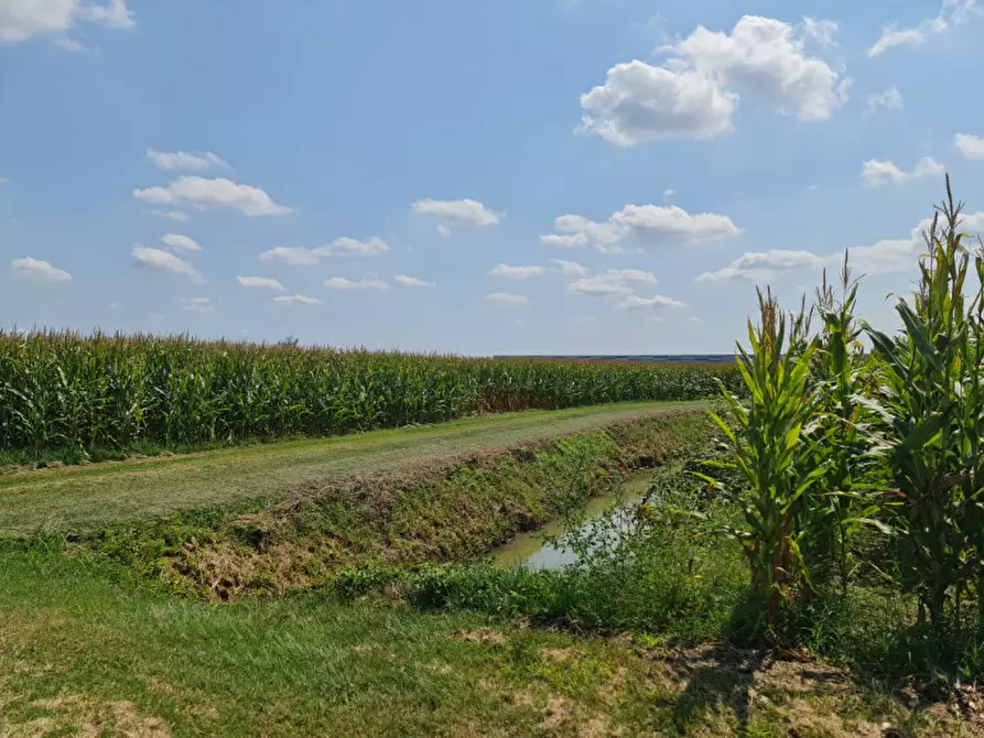Immagine 10 di Terreno in vendita  a Lendinara