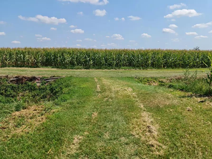 Immagine 11 di Terreno in vendita  a Lendinara