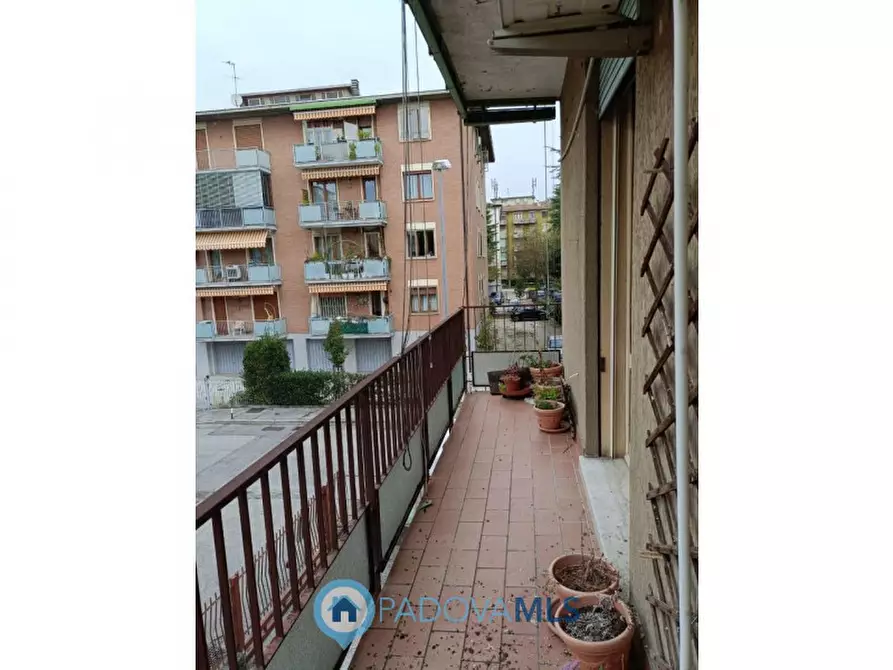 Immagine 7 di Appartamento in vendita  in Via Pascoli a Padova