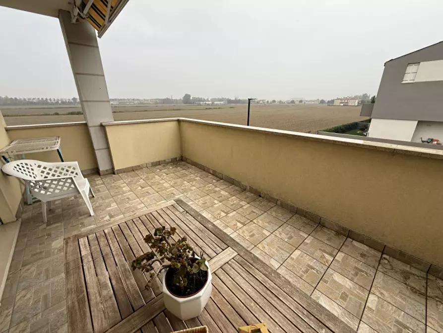 Immagine 6 di Appartamento in affitto  a Pianiga