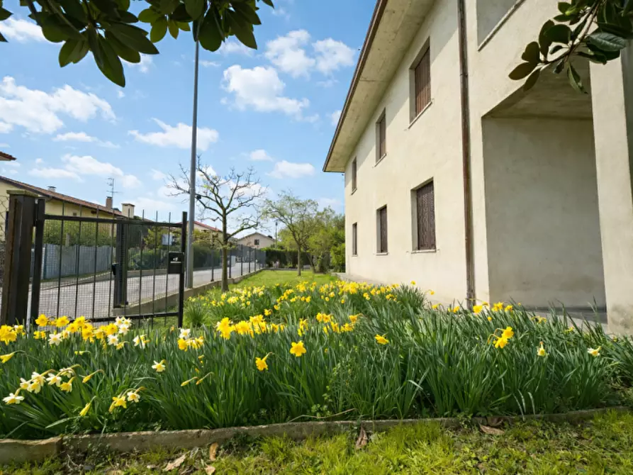 Immagine 30 di Casa indipendente in vendita  in Via Sant'Agnese a Selvazzano Dentro