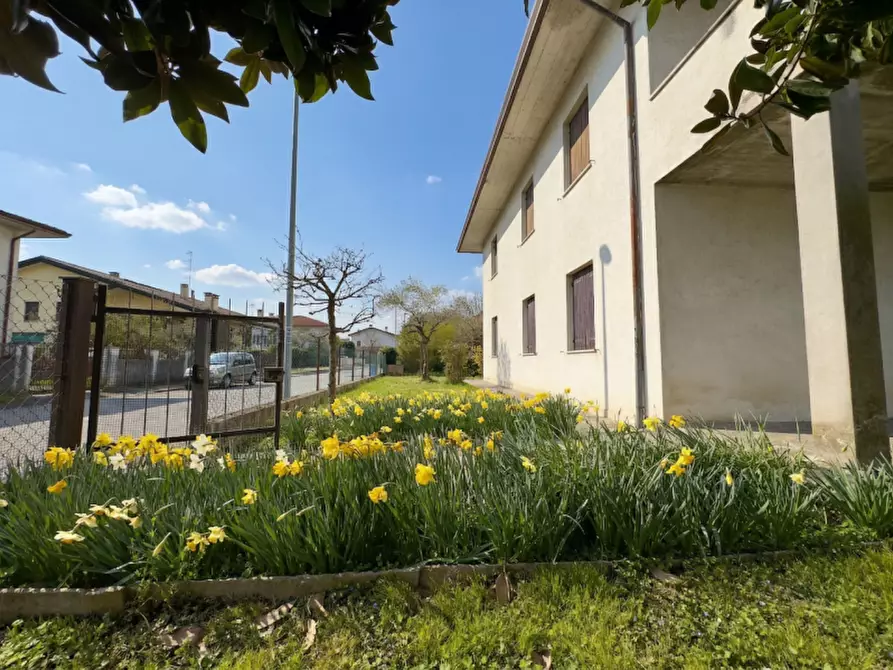 Immagine 29 di Casa indipendente in vendita  in Via Sant'Agnese a Selvazzano Dentro