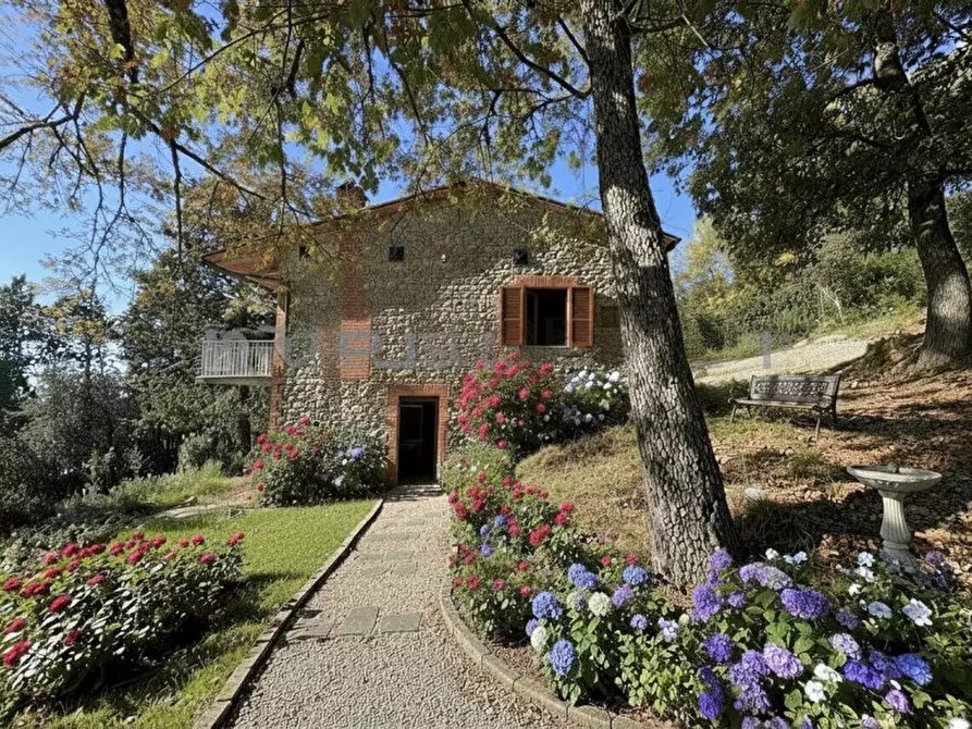 Immagine 2 di Casa indipendente in vendita  a Tuoro Sul Trasimeno