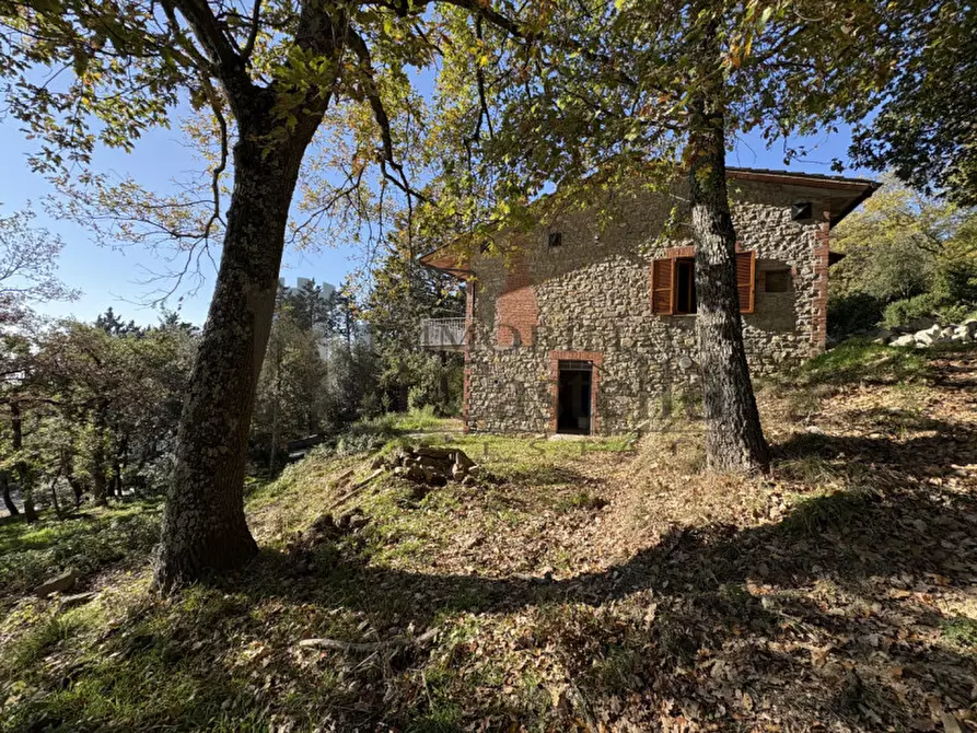 Immagine 5 di Casa indipendente in vendita  a Tuoro Sul Trasimeno
