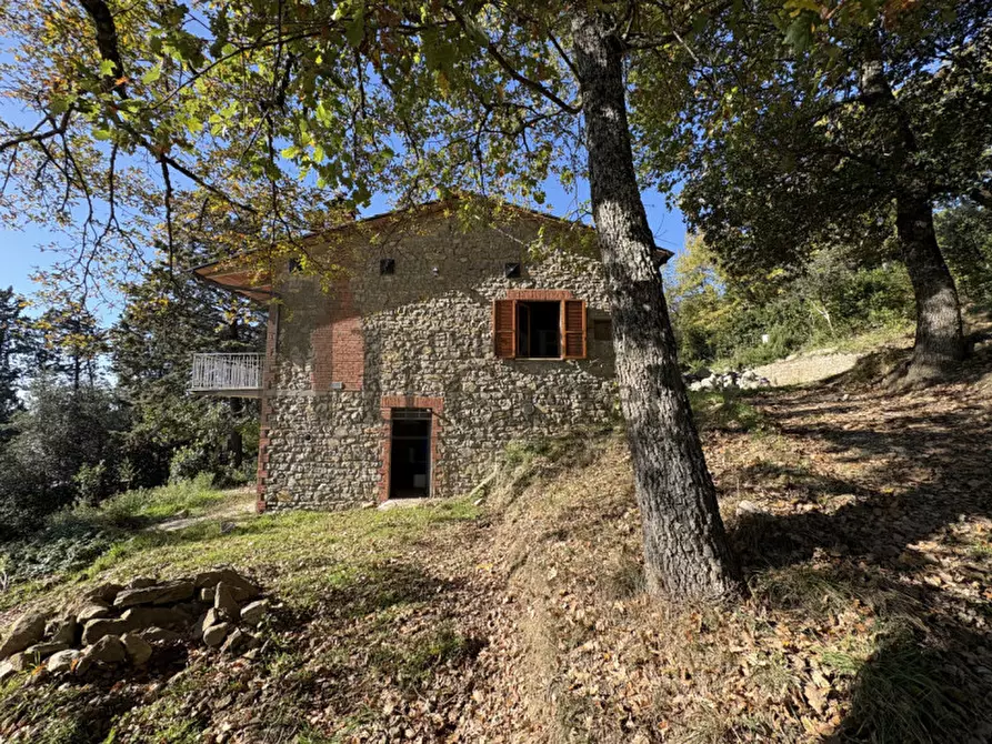 Immagine 20 di Casa indipendente in vendita  a Tuoro Sul Trasimeno