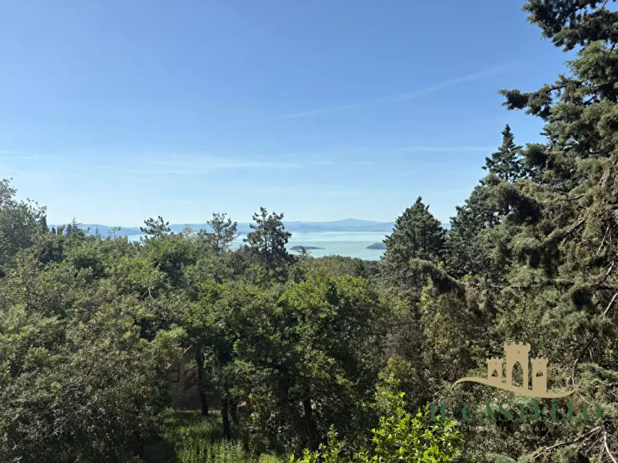 Immagine 28 di Casa indipendente in vendita  a Tuoro Sul Trasimeno