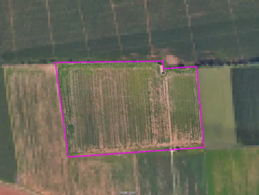 Immagine 2 di Terreno in vendita  in Via Caselle a Lonato del Garda