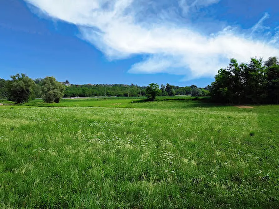 Immagine 3 di Terreno in vendita  in Via Caselle a Lonato del Garda