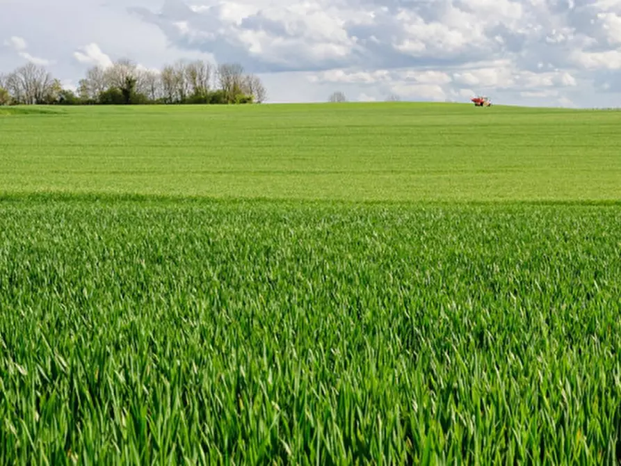 Immagine 5 di Terreno in vendita  in Via Caselle a Lonato del Garda