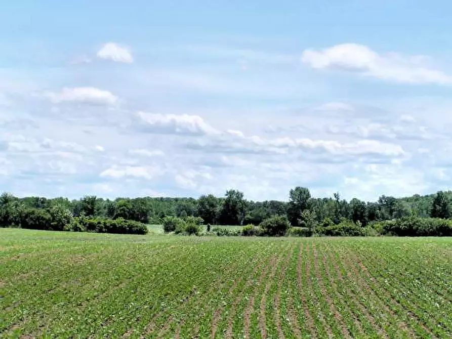 Immagine 6 di Terreno in vendita  in Via Caselle a Lonato del Garda