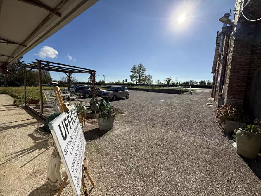 Immagine 15 di Attività commerciale in vendita  in Adria, Via Voltascirocco a Adria