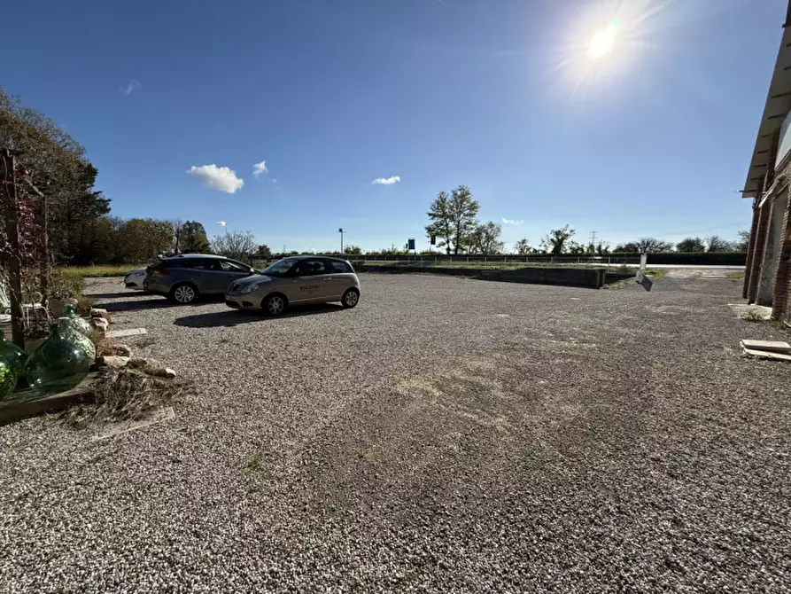Immagine 17 di Attività commerciale in vendita  in Adria, Via Voltascirocco a Adria