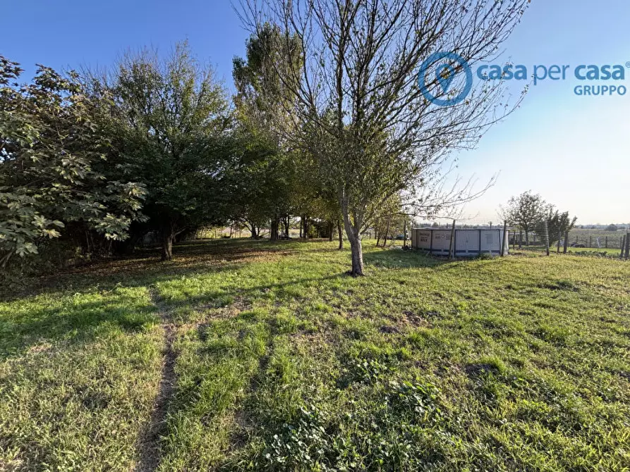 Immagine 18 di Casa bifamiliare in vendita  a Crespino