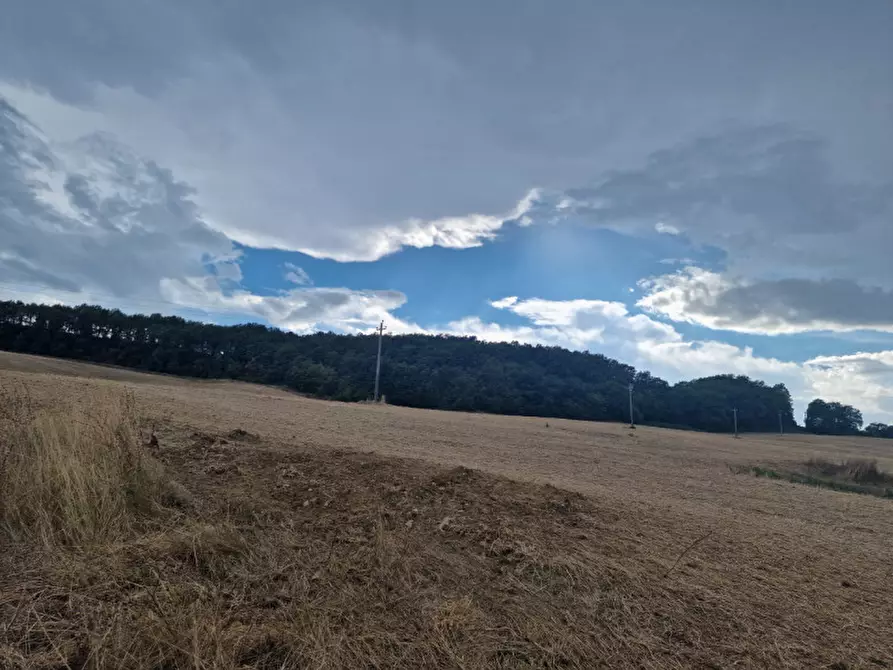 Immagine 1 di Terreno in vendita  a Montepulciano