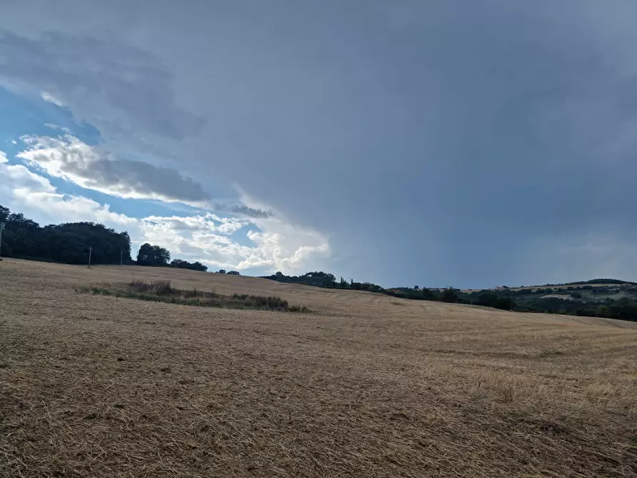 Immagine 2 di Terreno in vendita  a Montepulciano