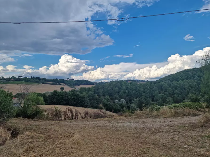 Immagine 3 di Terreno in vendita  a Montepulciano
