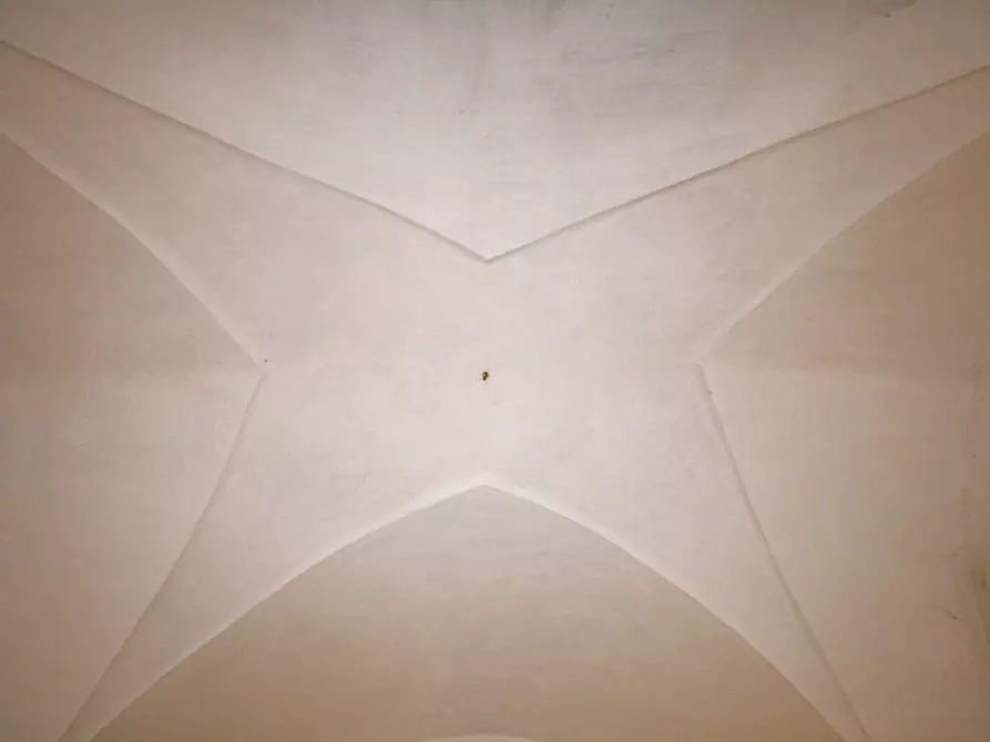 Immagine 50 di Casa indipendente in vendita  in Via San Biagio a Matino